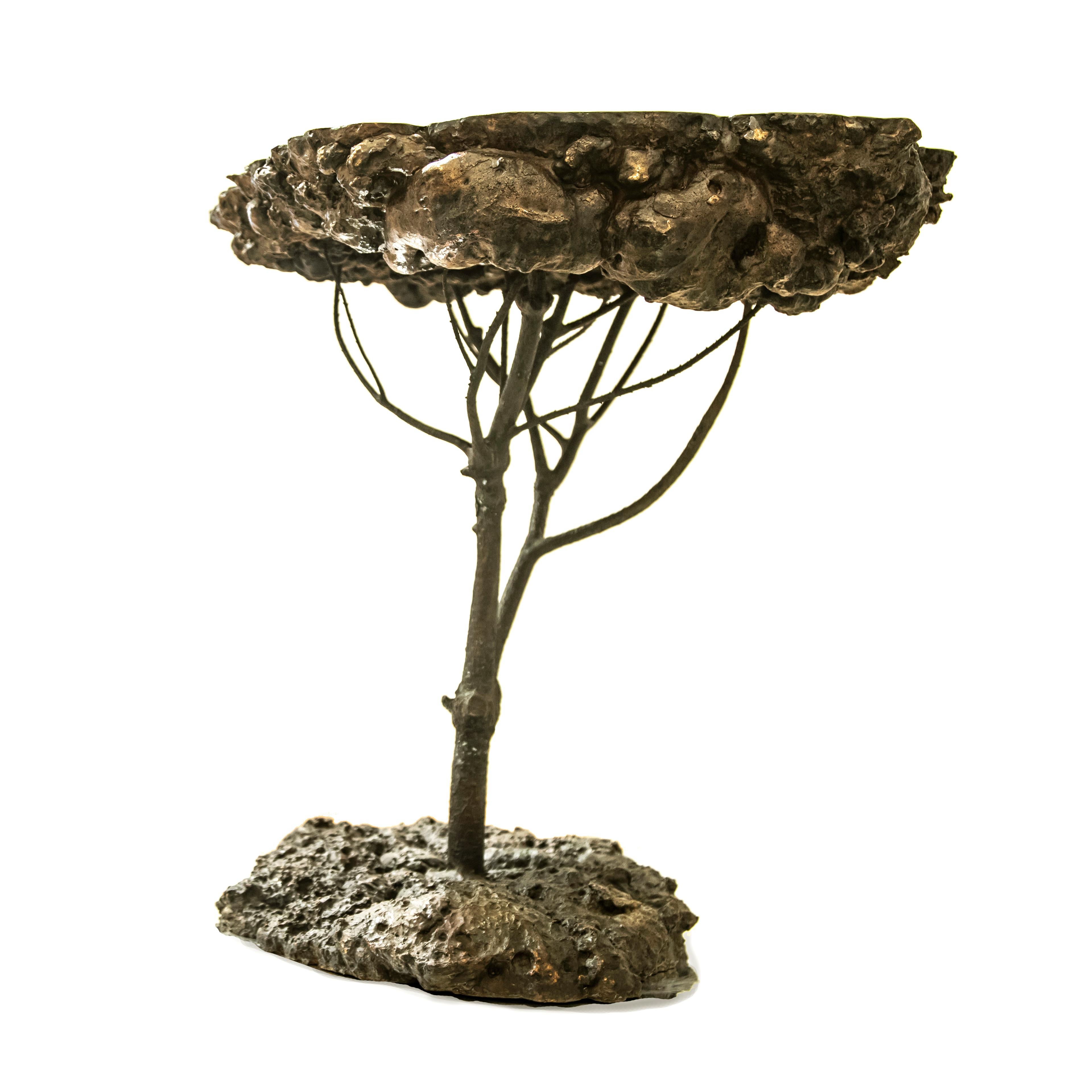 A cast bronze side table inspired by the Roman pine trees. Signed Limited Edition of 12.
There is currently 1 item in stock.