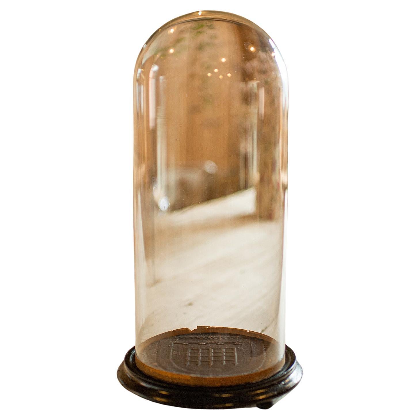 Mittelgroßer antiker Taxidermie-Dome, Englisch, Glasvitrine, edwardianisch, 1910 im Angebot