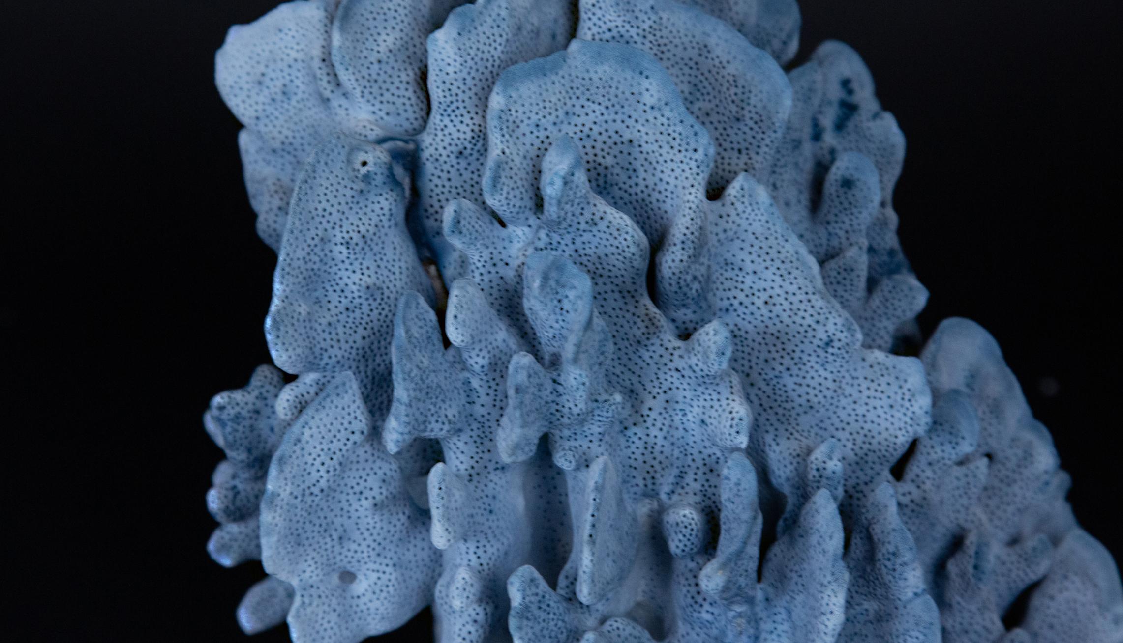 Medium blue coral. Measures: 9