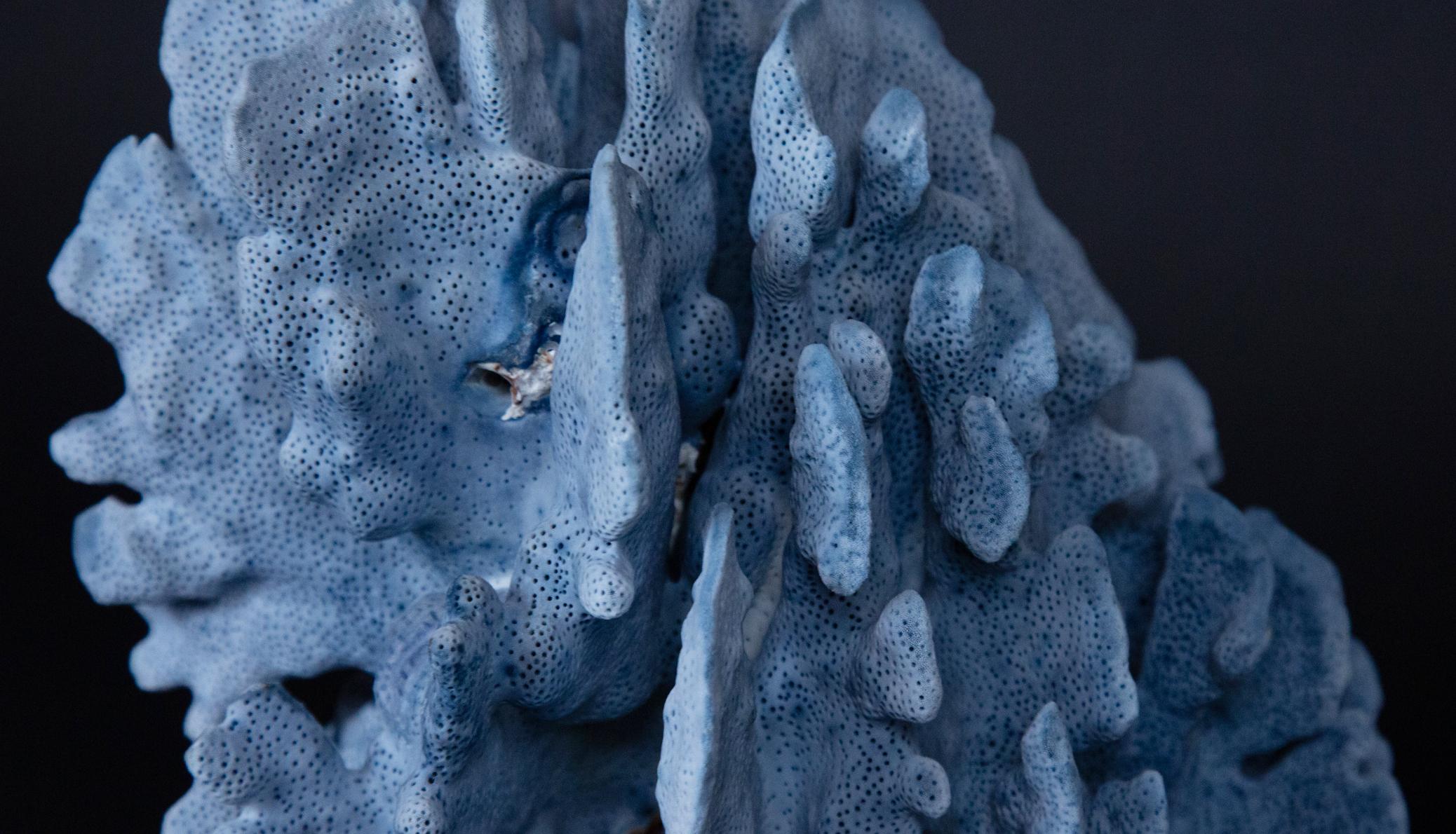 Contemporary Medium Blue Coral