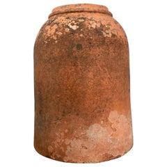 Medium English Terracotta Rhubarb Forcing Pot with Weathered Patina