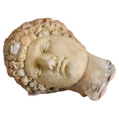 Medium French Male Stone Bust, 1940s