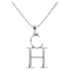 Medium Initial Pendant Necklace in 18k Yellow, White or Rose Gold 19" Chain
