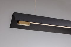 Medium Misalliance Ex Jet Black Suspended Light by Lexavala