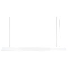 Medium Misalliance Inox Suspended Light by Lexavala