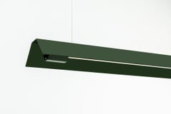 Medium Misalliance Ral Bottle Green Suspended Light by Lexavala