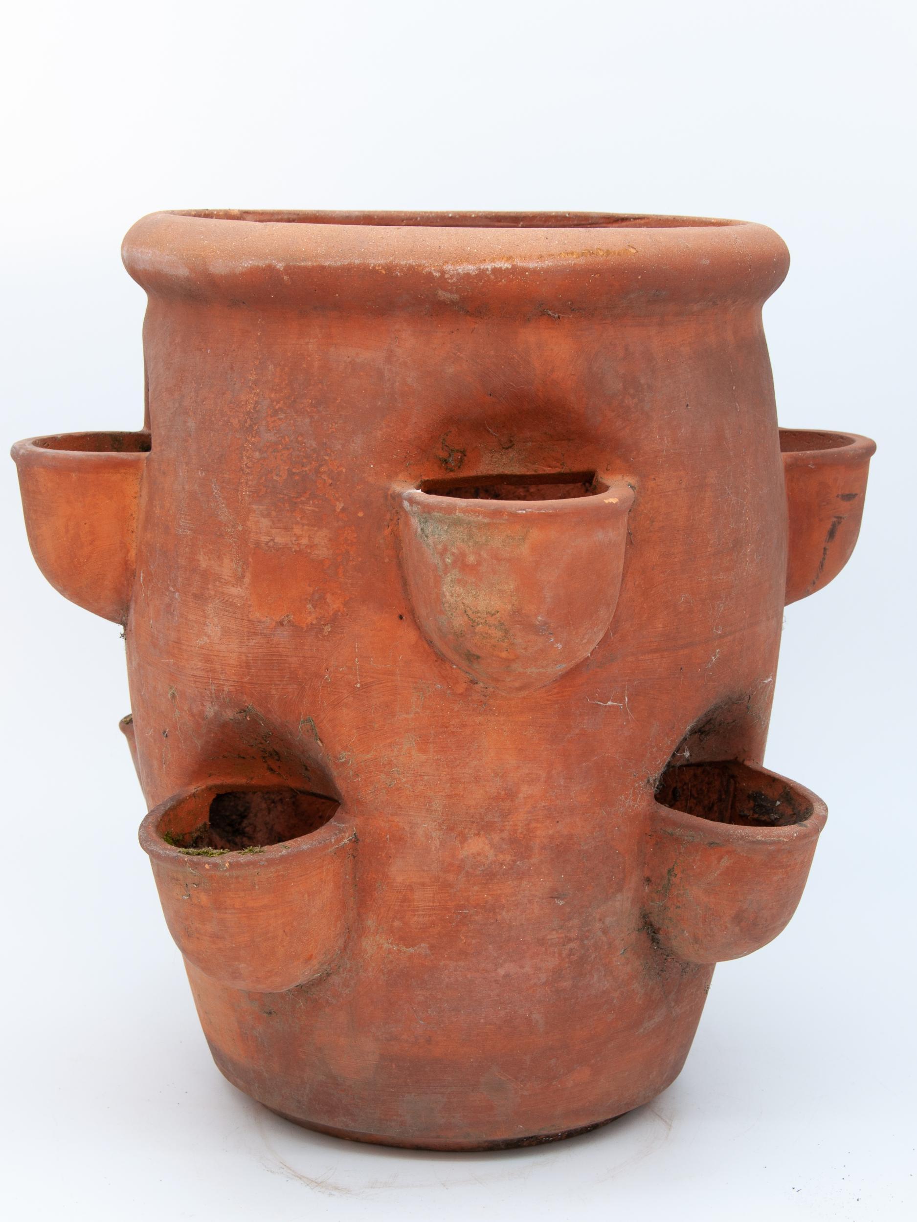 The shape and style of these pots have been perfected to grow Strawberries in. This Strawberry pot made from terracotta features deep side planting holes at various heights and has the classic urn shape with wide mouth. Early 20th century.
