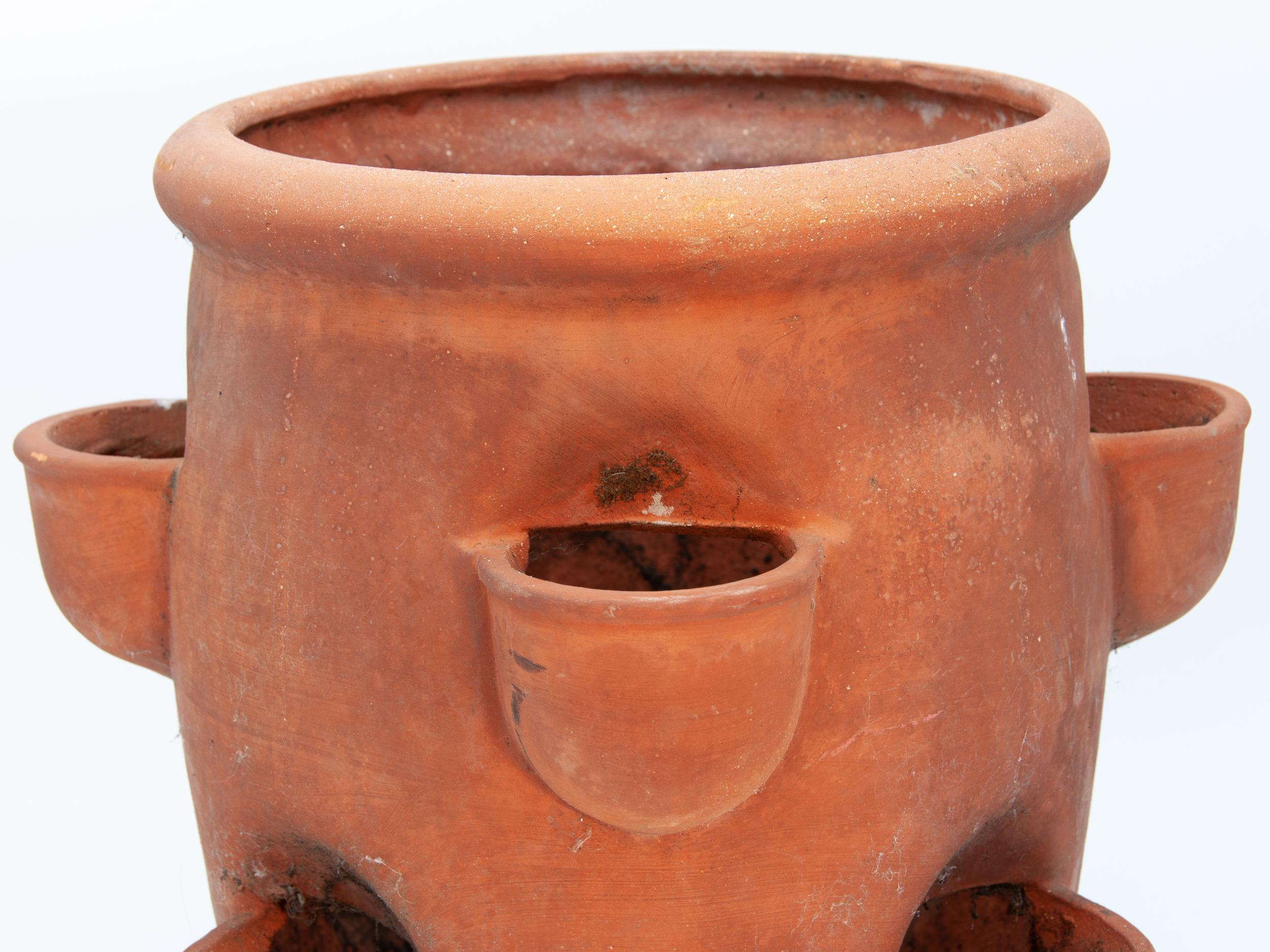 terracotta strawberry pot