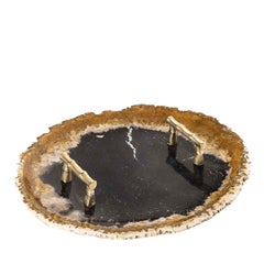 Medium Petrified Wood Tablett