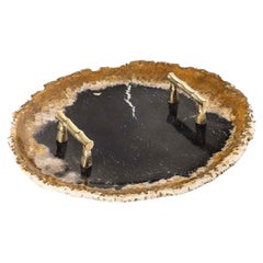 Medium Petrified Wood Tablett