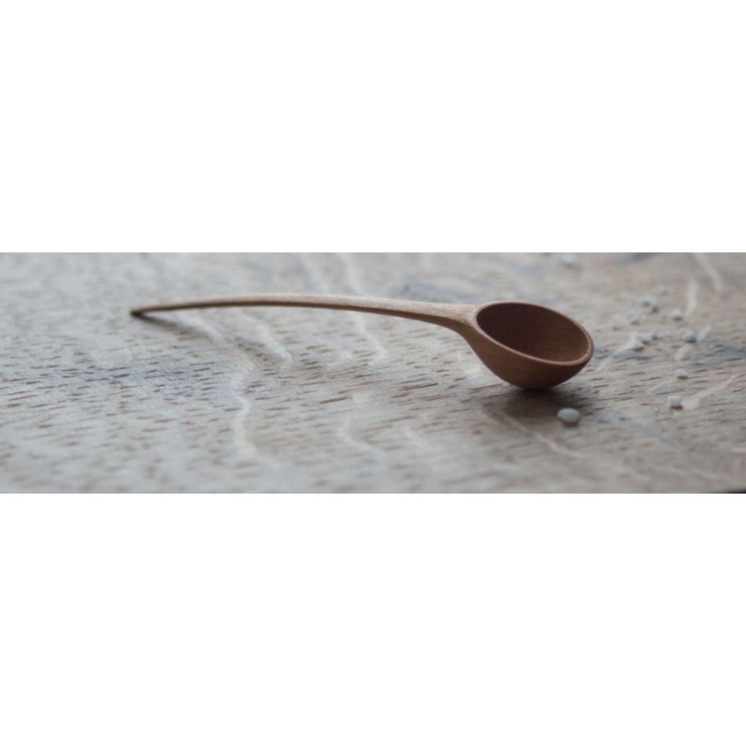 Modern Medium Pisara Spoon by Antrei Hartikainen For Sale