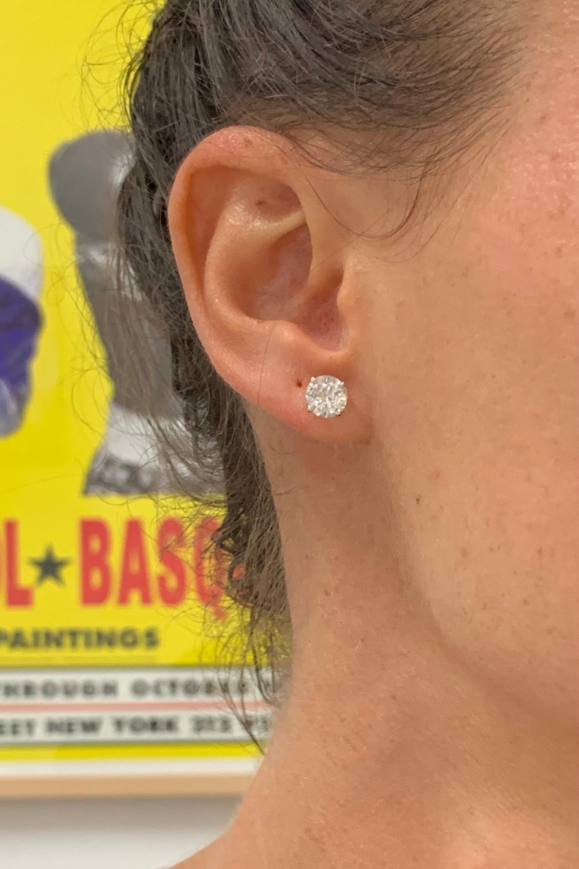 medium size stud earrings