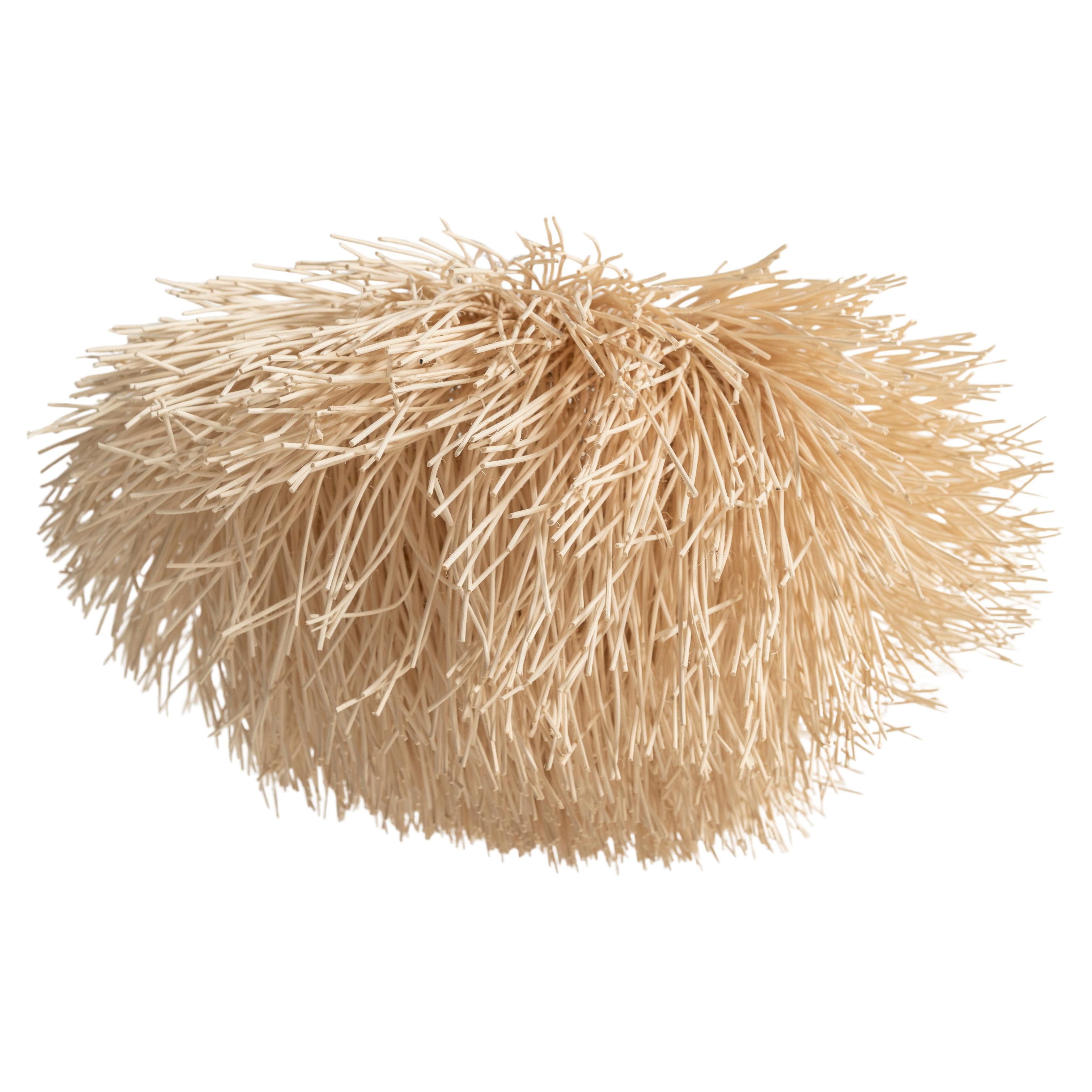 The medium-sized Sea Urchin Pendant by Coup Studio, model LL-C5-09B, features an intricately woven rattan design inspired by the natural beauty of sea urchins. Its organic texture and warm tones create a cozy, inviting ambiance. Perfect for dining