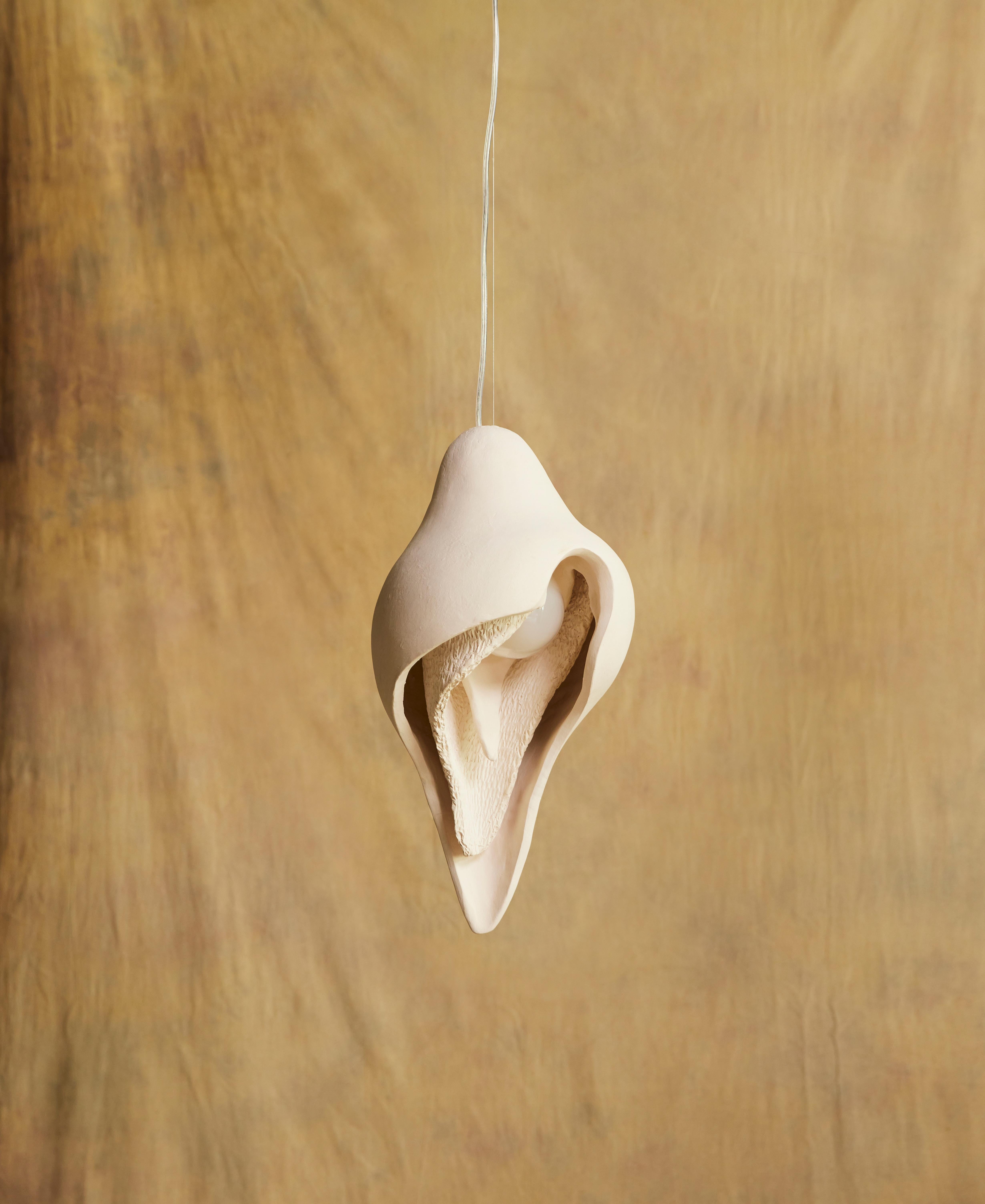 Medium Womb pendant lamp by Jan Ernst
Dimensions: D 25 W 25 H 48 cm
Materials: White stoneware


The Origin Collection is a collaboration between Jan Ernst and Colin Braye. The work translates the complexity and delicacy of biological and