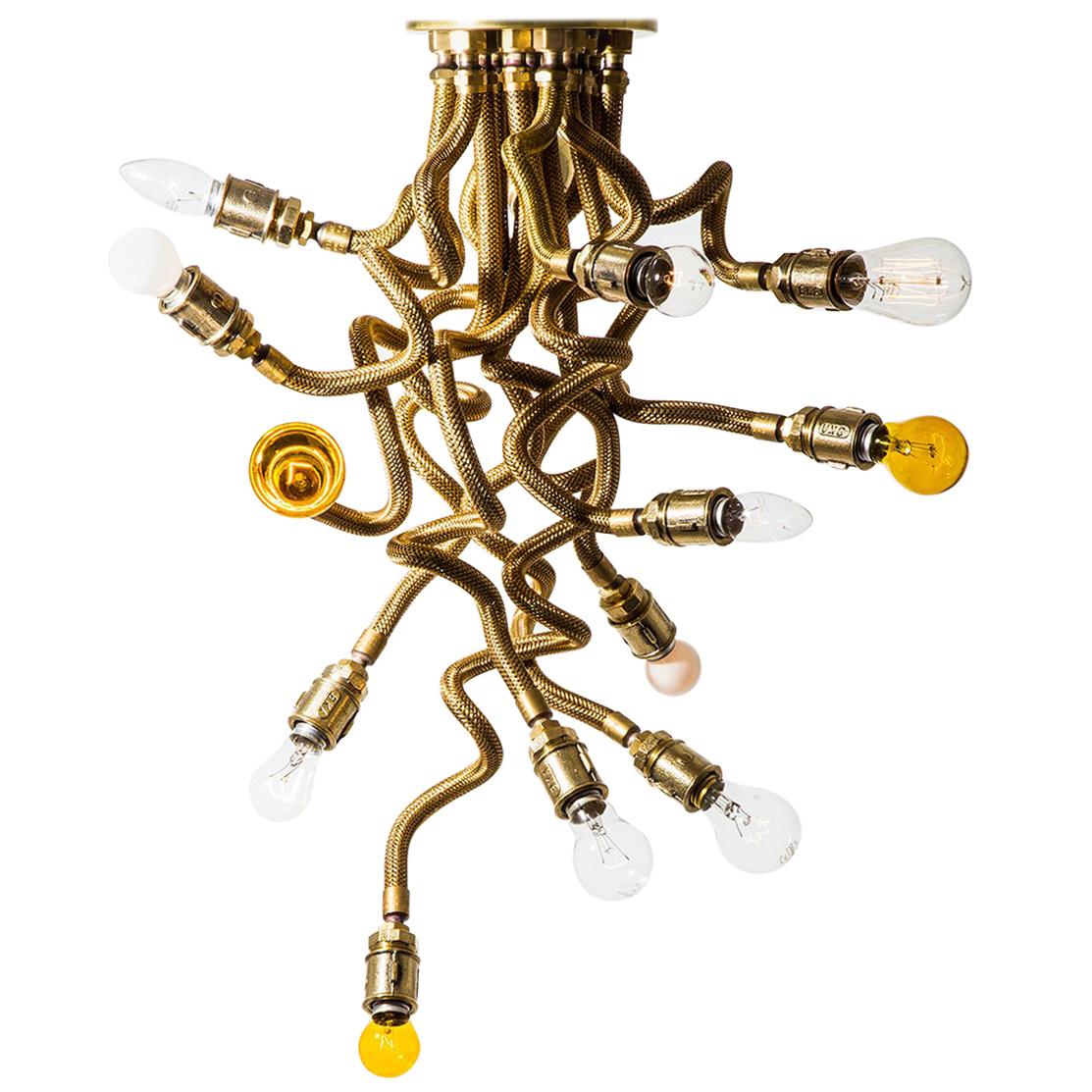 Medusa Chandelier in Brass by 80e8 Contemporary Brazilian Design For Sale