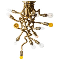 Medusa Chandelier in Brass by 80e8 Contemporary Brazilian Design