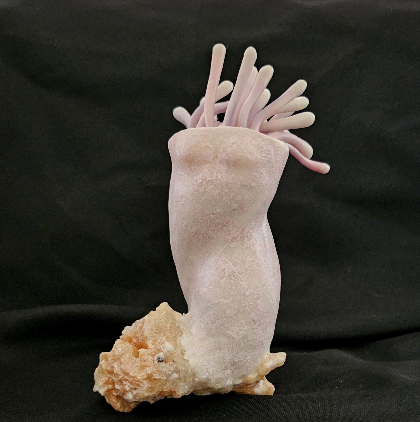 Scultura di anemone di mare Medusa, originale firmata, tecnica mista VENDITA CHIUSA in vendita 4