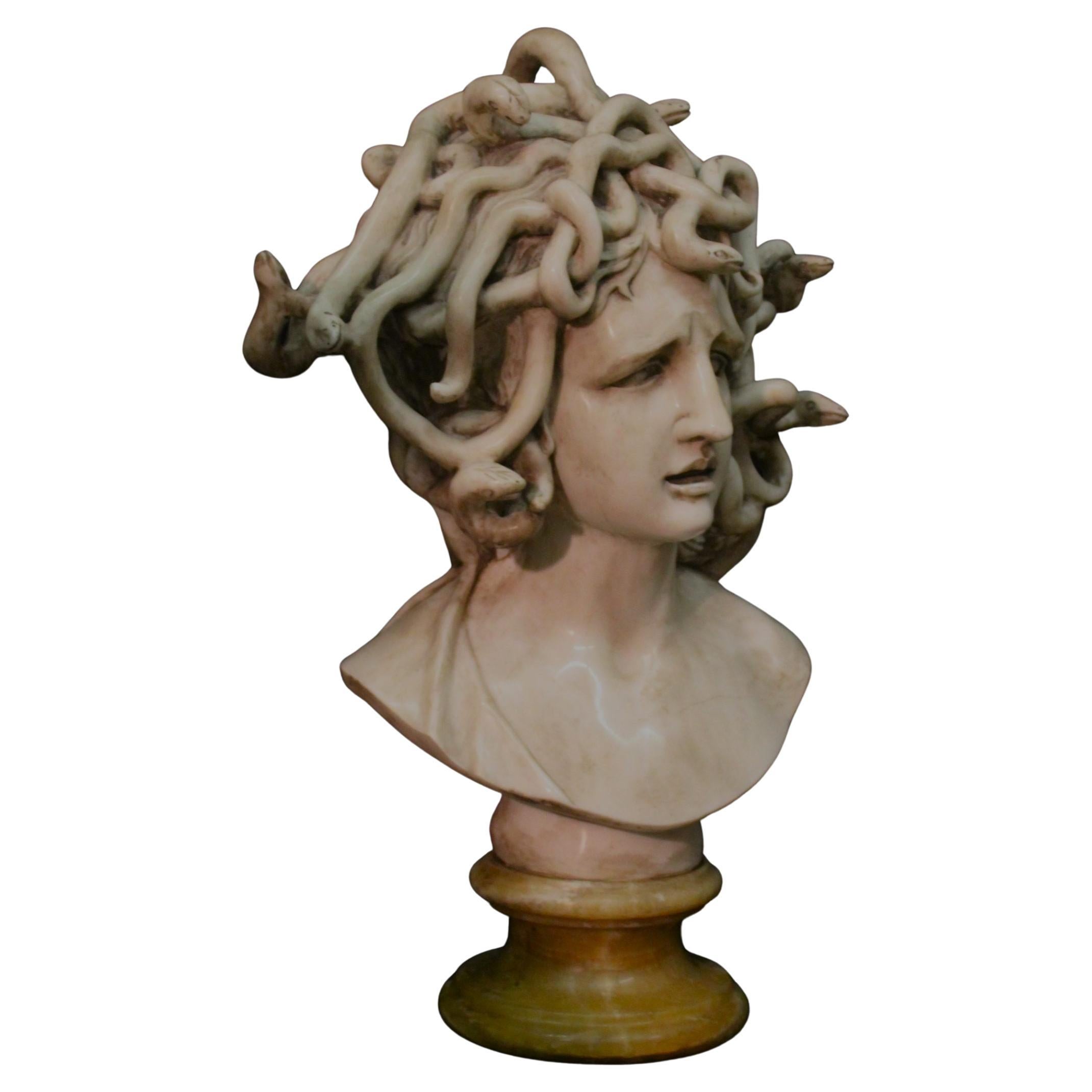 Medusa with snakes