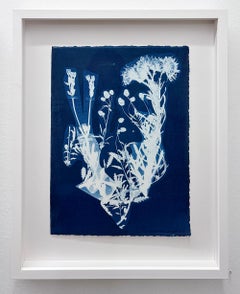 Bouquet #4, from the series Bluest Flos - Cyanotype, Flowers, Plant Study