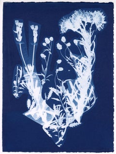Bouquet #4, from the series Bluest Flos - Cyanotype, Flowers, Plant Study