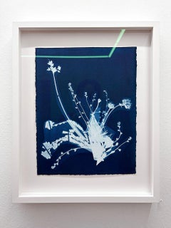 Bouquet #6, dalla serie Bluest Flos - Cianotipia, Fiori, Studio di piante