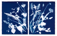 Field #1, from the series, Bluest Flos - Cyanotype, Unique Print, Flowers