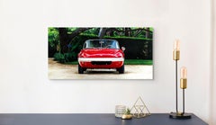 „Lotus Elan“ Original Ölgemälde 12 in x 24 in