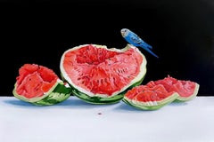 "Pastèque et oiseau bleu" 2019 Nature morte originale à l'huile 24 "x36"