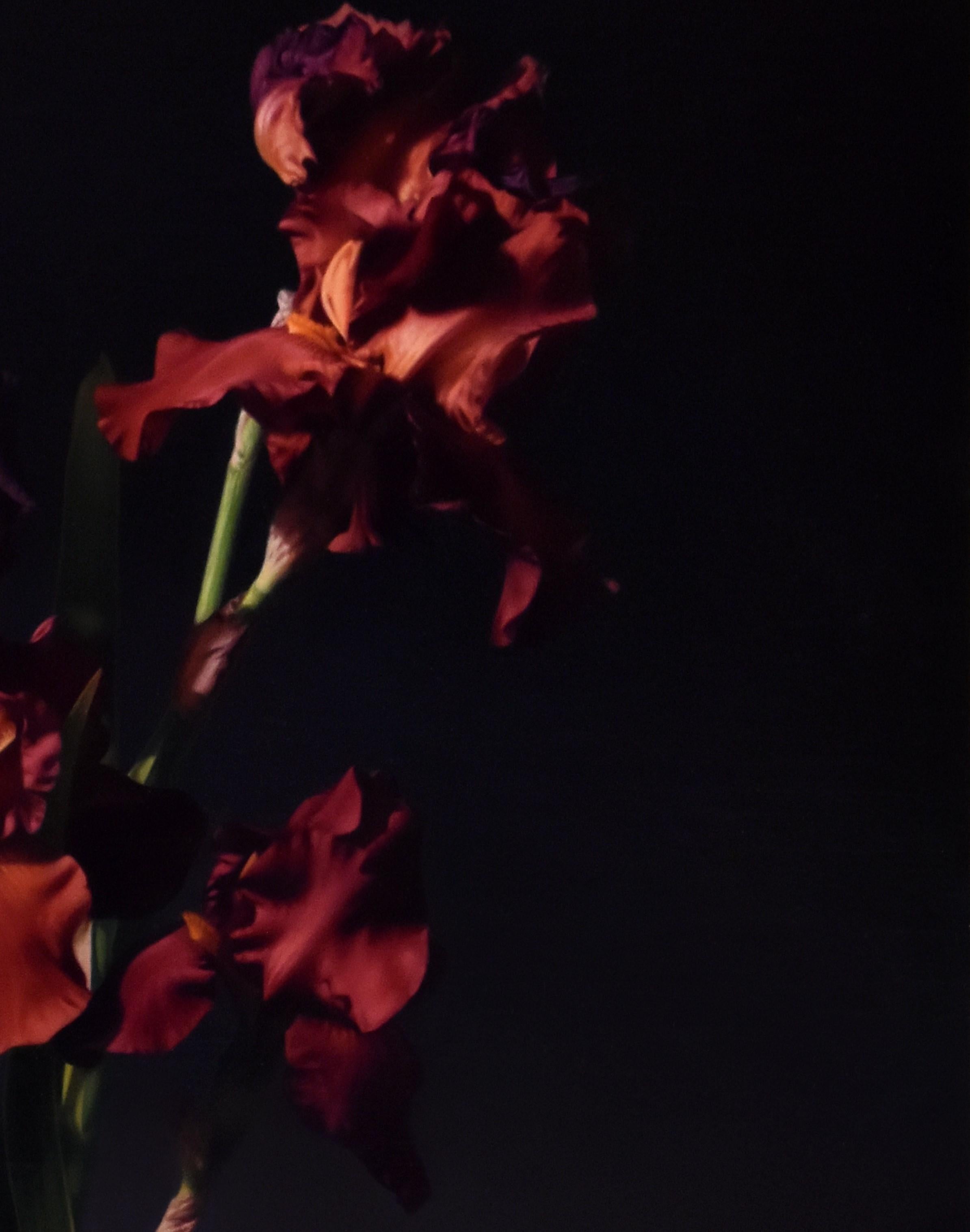 „Flowers with Vessel 4“ (2024), Original Ölporträt von Megan Elizabeth Read im Angebot 3