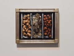 "Die Kiste" (2025), Original Öl-Stillleben von Megan Elizabeth Read