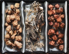 "The Box" (2025), Nature morte à l'huile originale de Megan Elizabeth Read