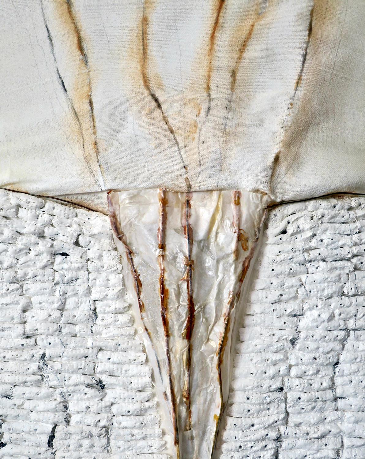 Megan Klim's mixed media work juxtaposes several materials on one picture plane.  She highlights their inherent qualities to create surface tension which sparks a conversation and interaction between them.  A physical presence is apparent in her