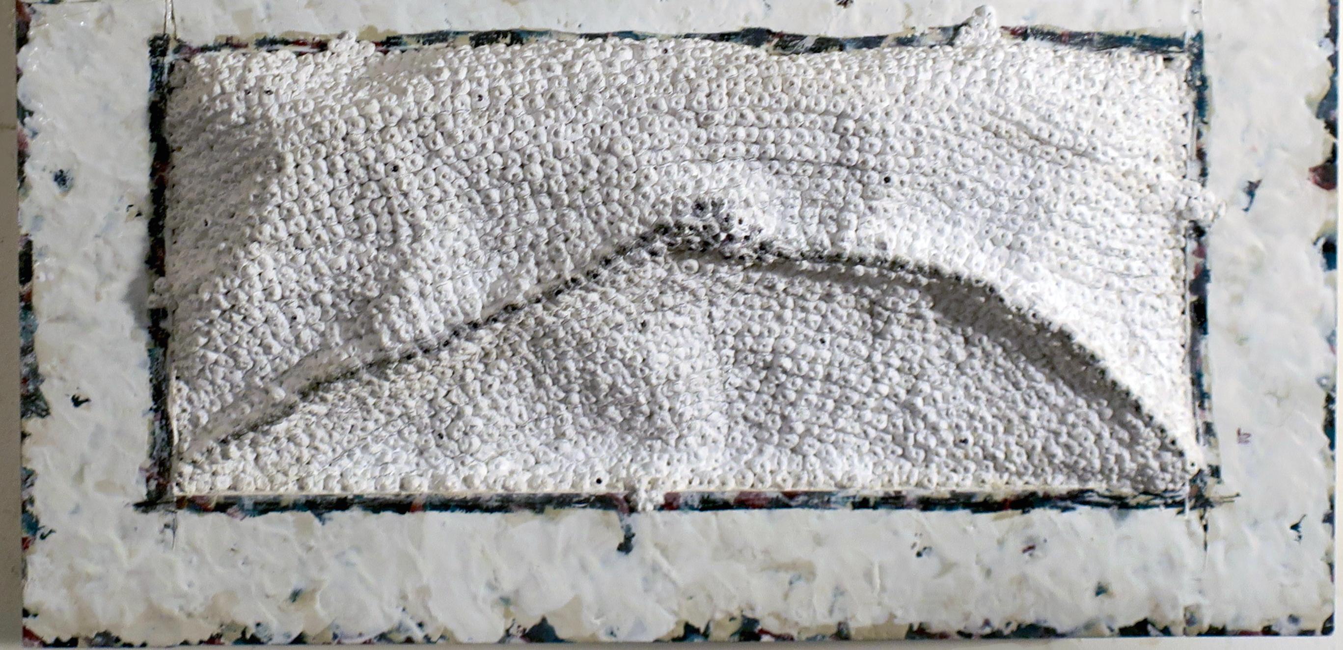 Megan Klim's mixed media work juxtaposes several materials on one picture plane.  She highlights their inherent qualities to create surface tension which sparks a conversation and interaction between them.  A physical presence is apparent in her