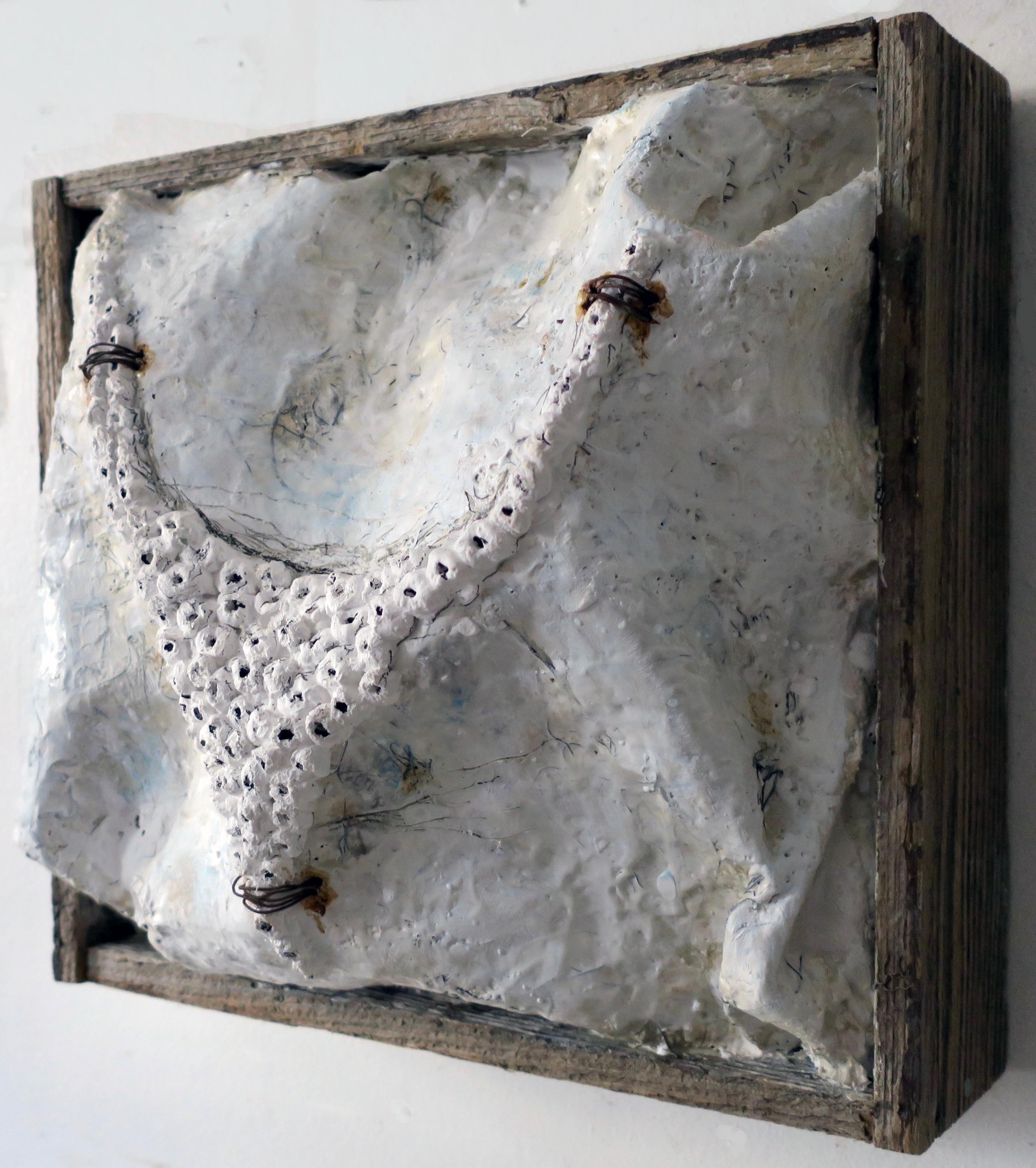 Scultura da parete: 'Clustered #2' - Sculpture di Megan Klim