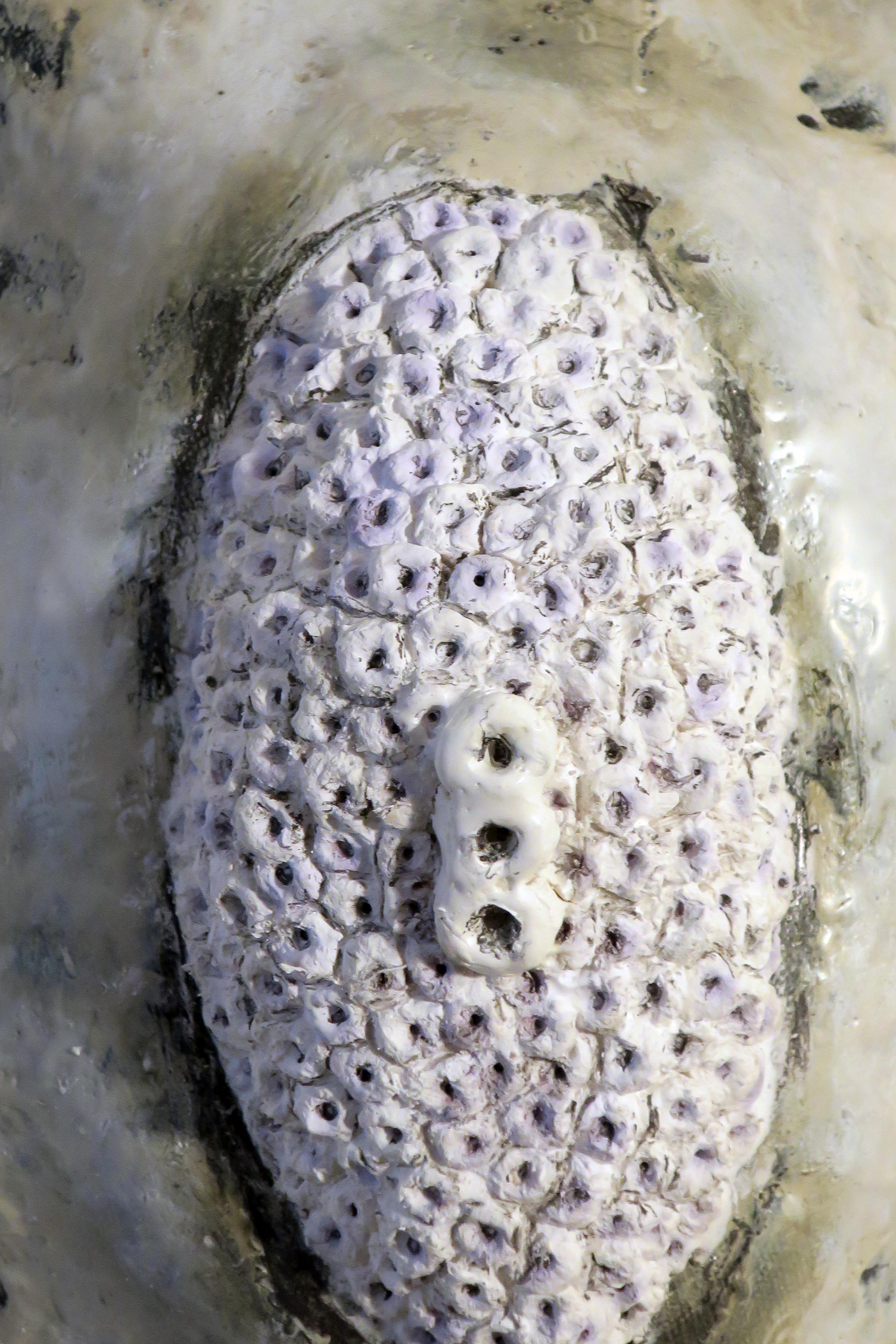 Scultura da parete: 'Clustered #5' - Sculpture di Megan Klim