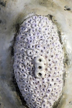 Wall Sculpture: 'Clustered #5'