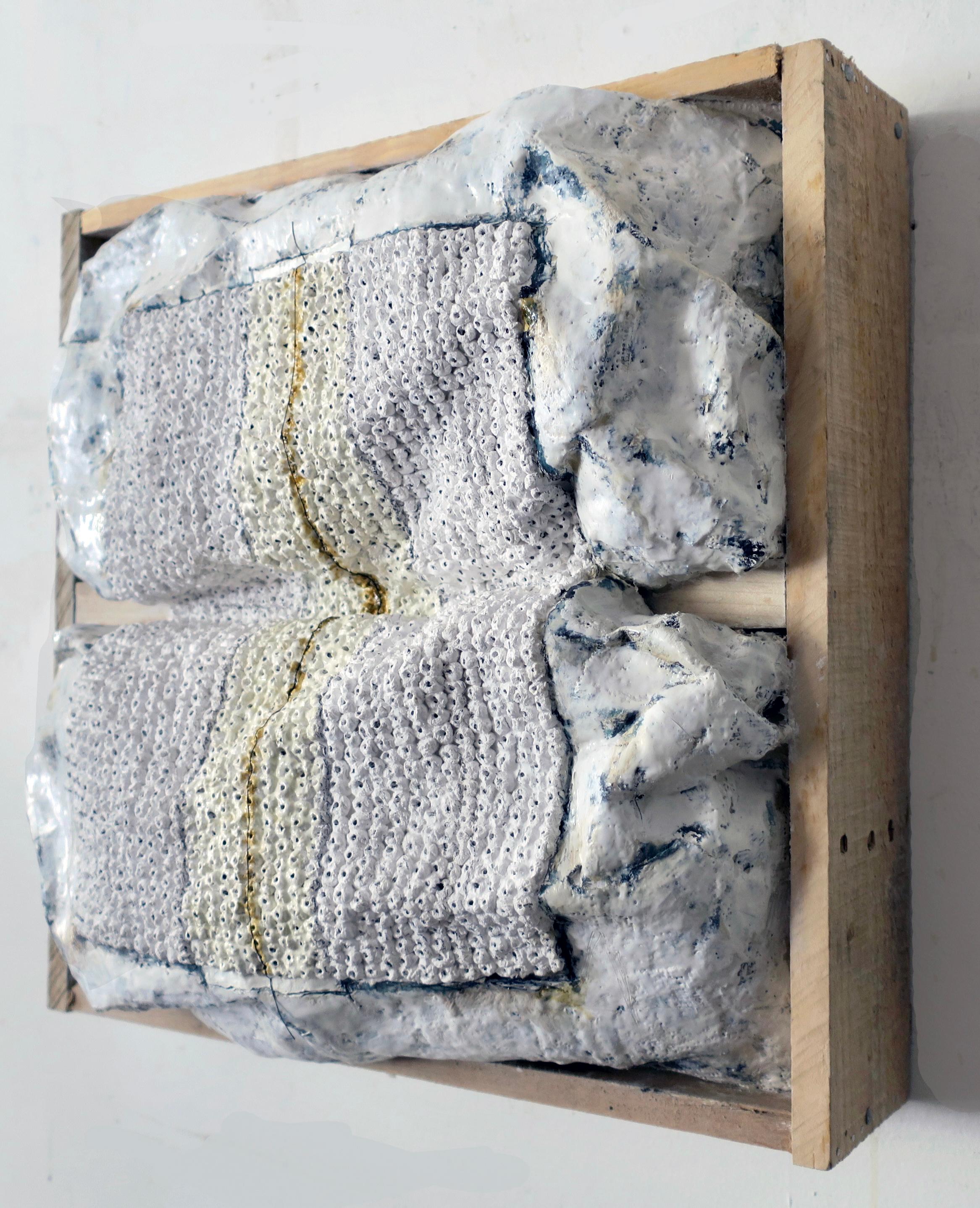 Scultura da parete: 'Clustered #8' - Sculpture di Megan Klim