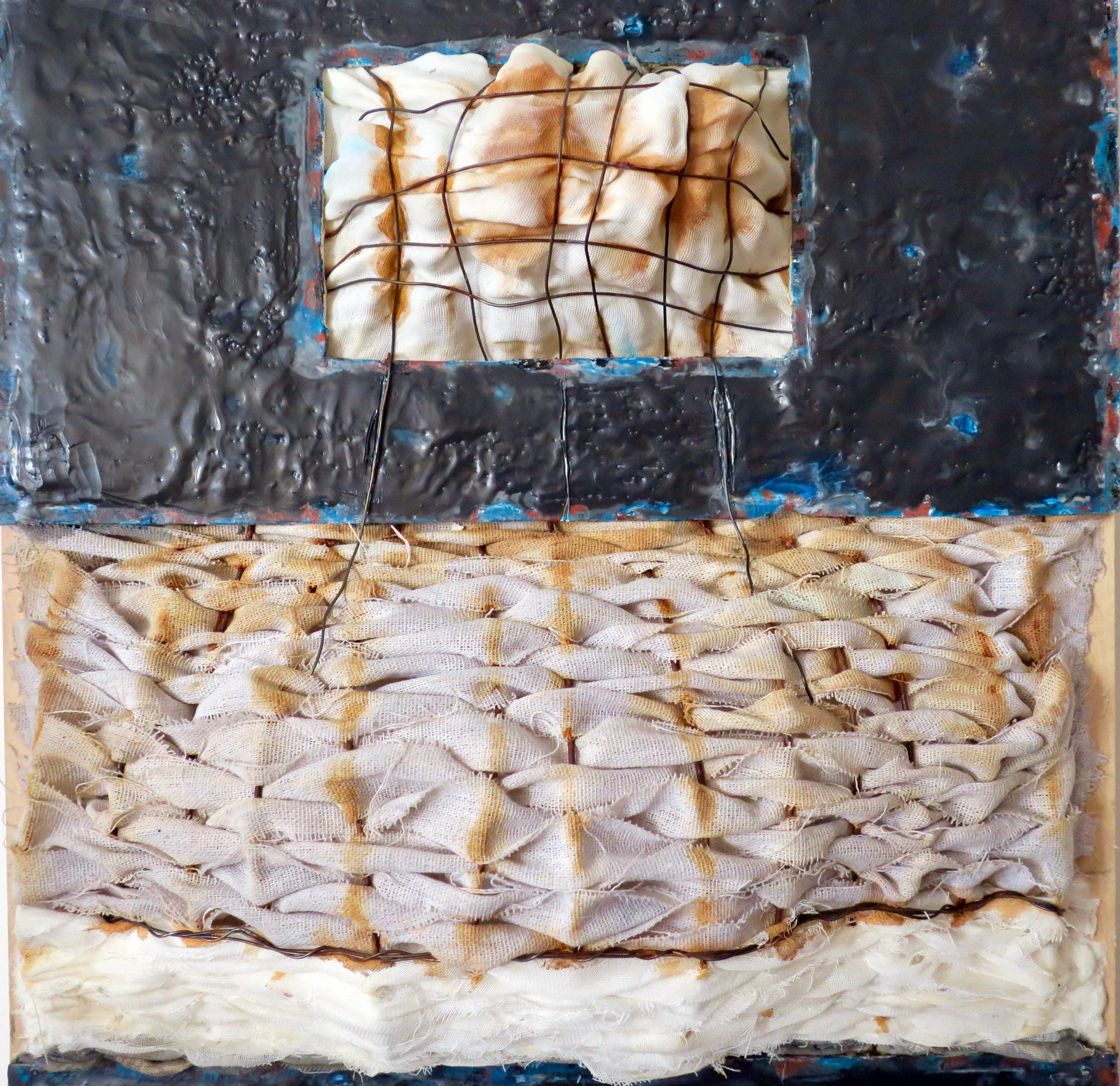 Megan Klim's mixed media work juxtaposes several materials on one picture plane.  She highlights their inherent qualities to create surface tension which sparks a conversation and interaction between them.  A physical presence is apparent in her
