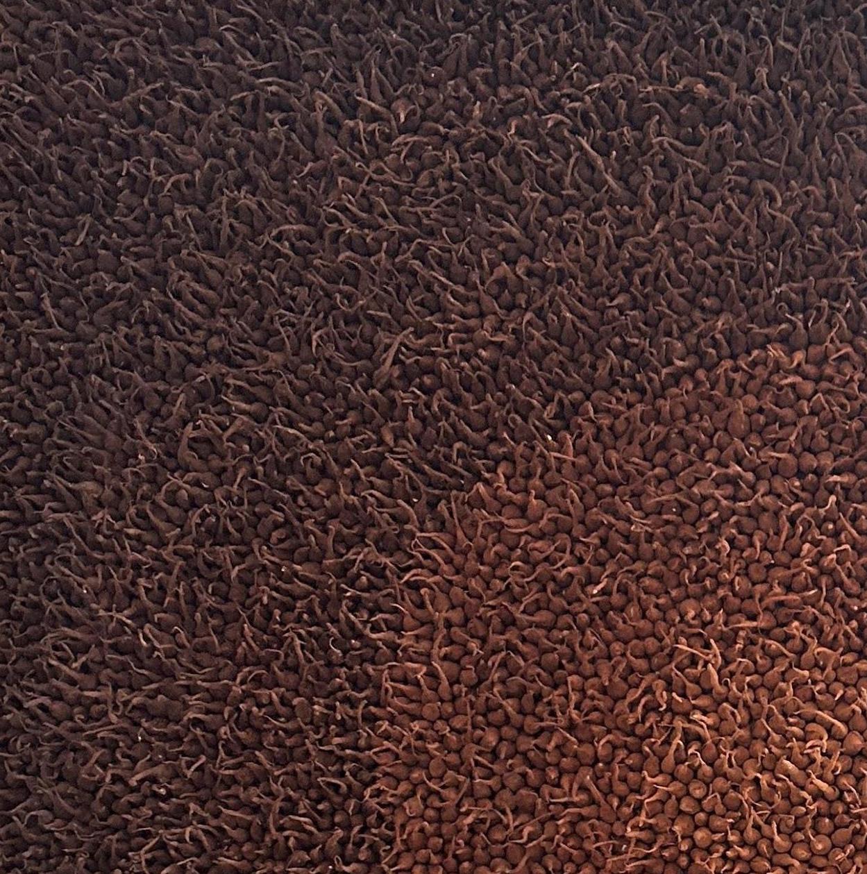 JHAAP III. Dalla serie Ritual - Abstract Painting Nero di Megha Joshi