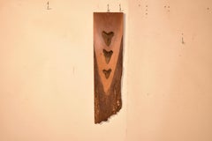 Megladon Teeth Mounted on Pecky Cypress Board