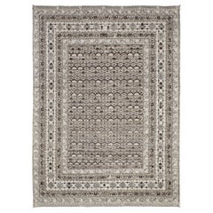 Mehraban Bolbol, Domicile Collection, Seasons