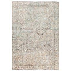 Mehraban Rugs Vintage Persian Bakhtiari 27123