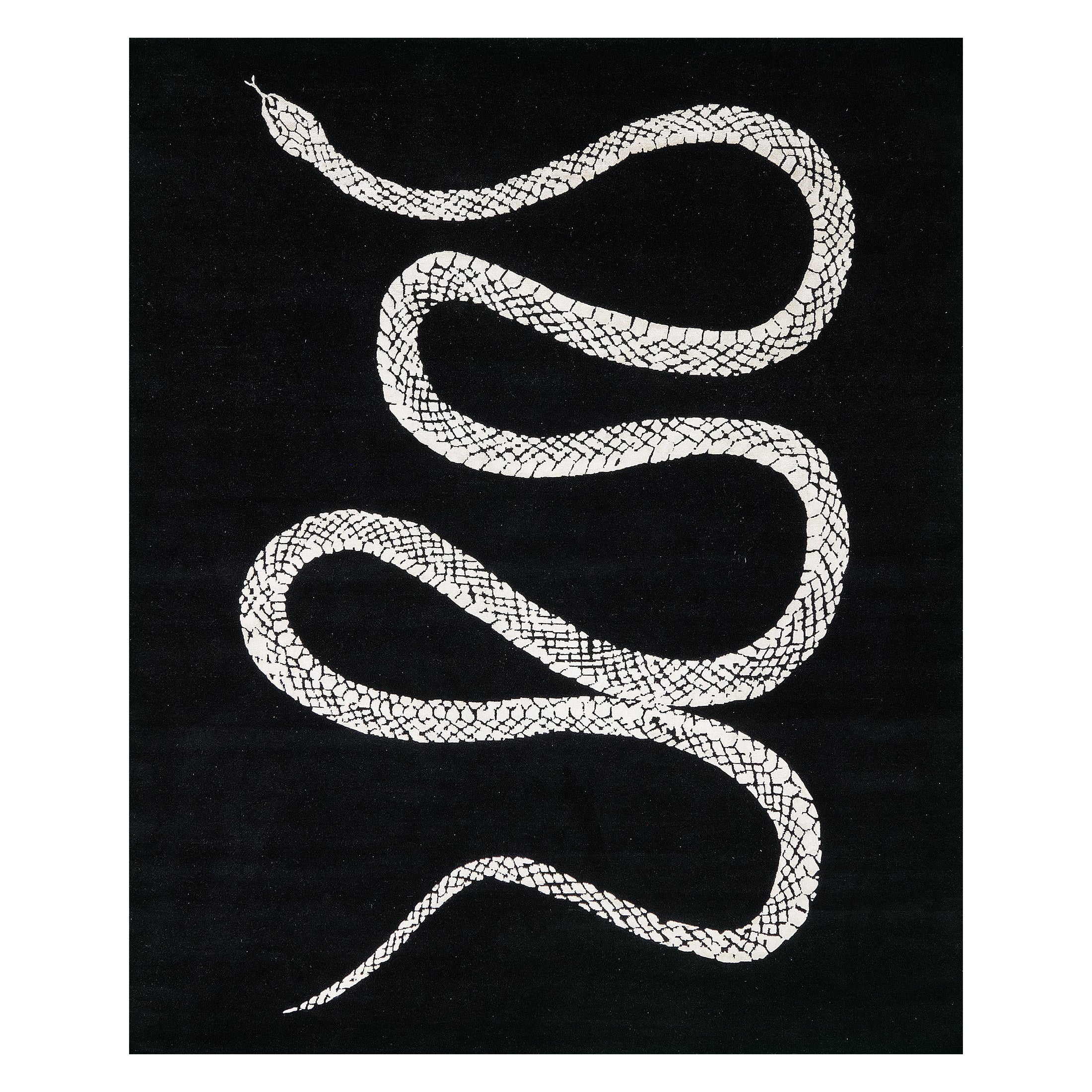 Mehraban Year of the Snake von Liesel Plambeck