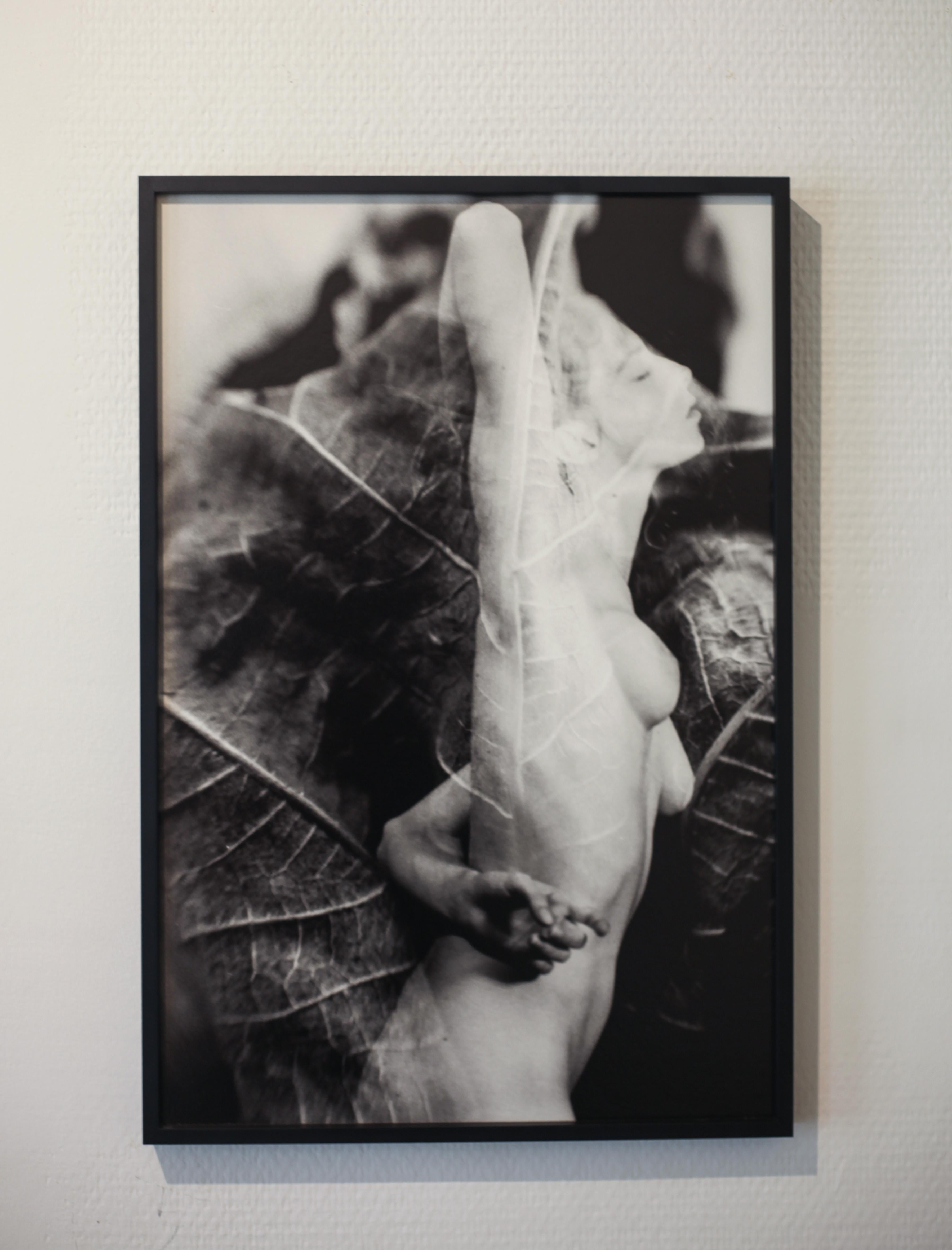 Artist : Meïdhy Bichon

- Title : Mouvements Naturels + Number

- Date : 2019

- Technique : Silver overprint (Double exposure on silver film)

- Media : Kodak Tri-X 400 film

- Dimension : 30 x 45 cm 

- Limited edition of 10 prints

- Price : 390€