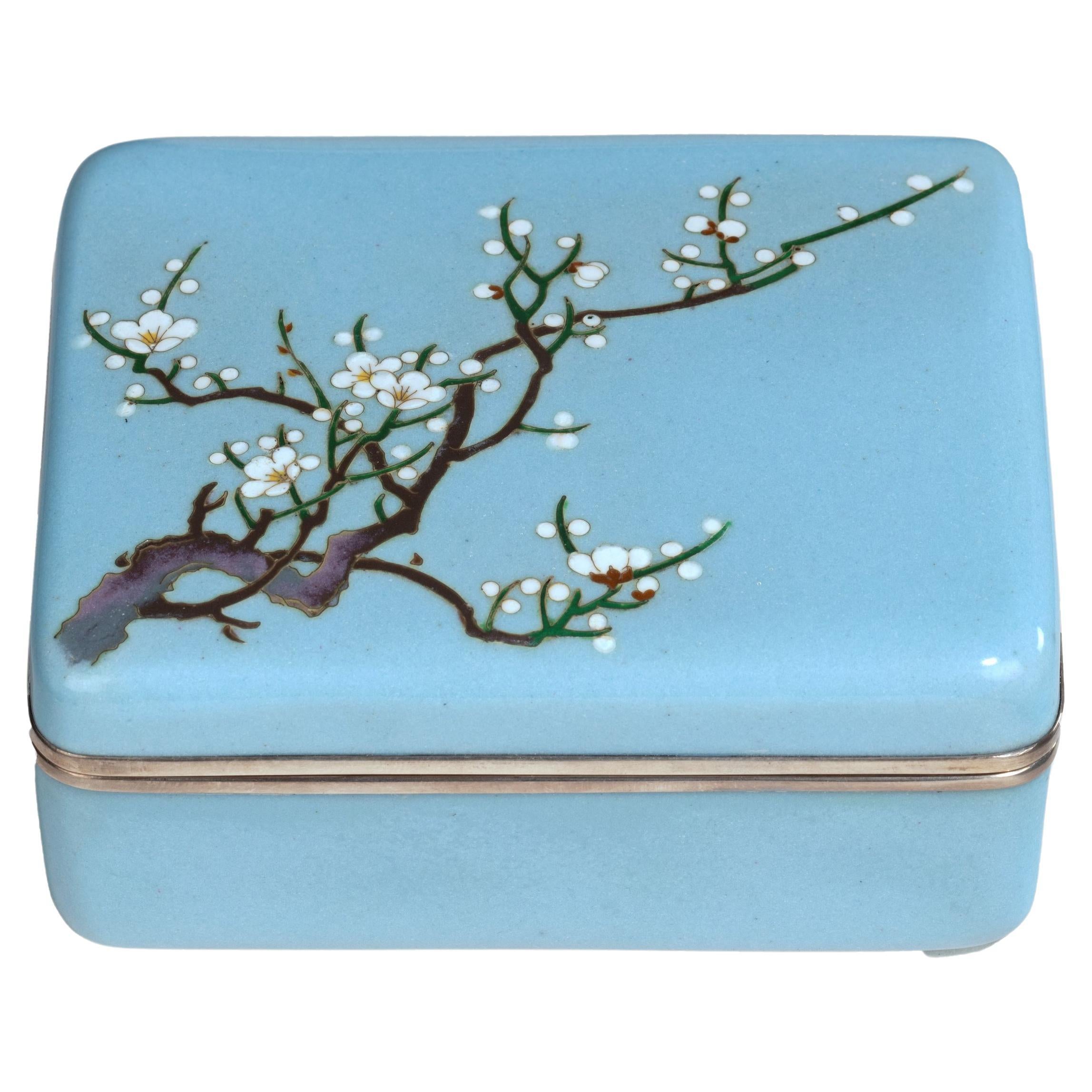 Meiji Period Cloisonné Box For Sale