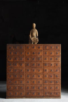 Armario de botica japonés del periodo Meiji con 81 cajones / Tansu Wabisabi