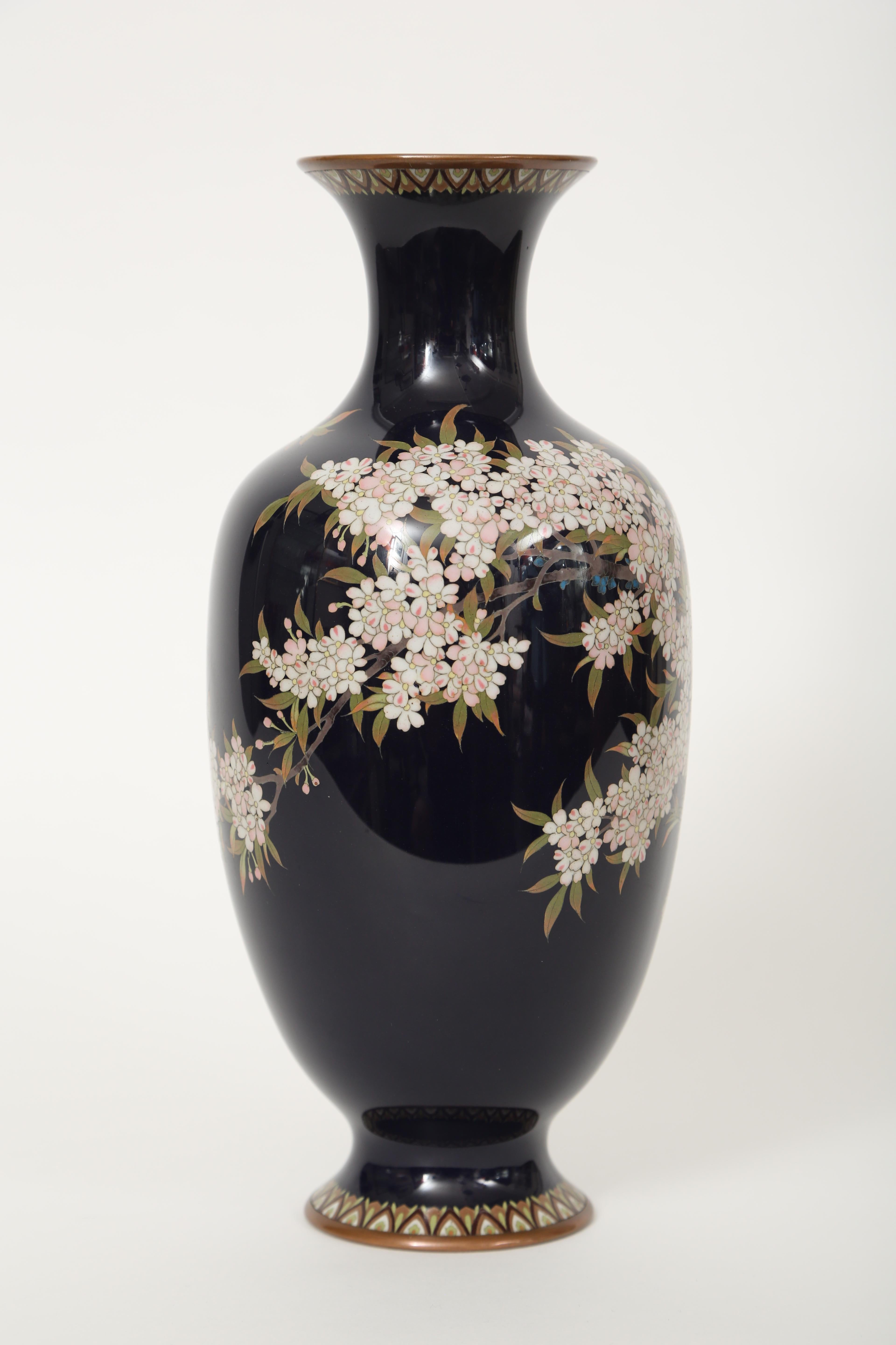Tall Meiji period cloisonné vase depicting an exploding array of pink and white cherry blossoms wrapping around the body of the vase. The base also has some daisies and chrysanthemums. The floral display is set against a rich dark blue ground.