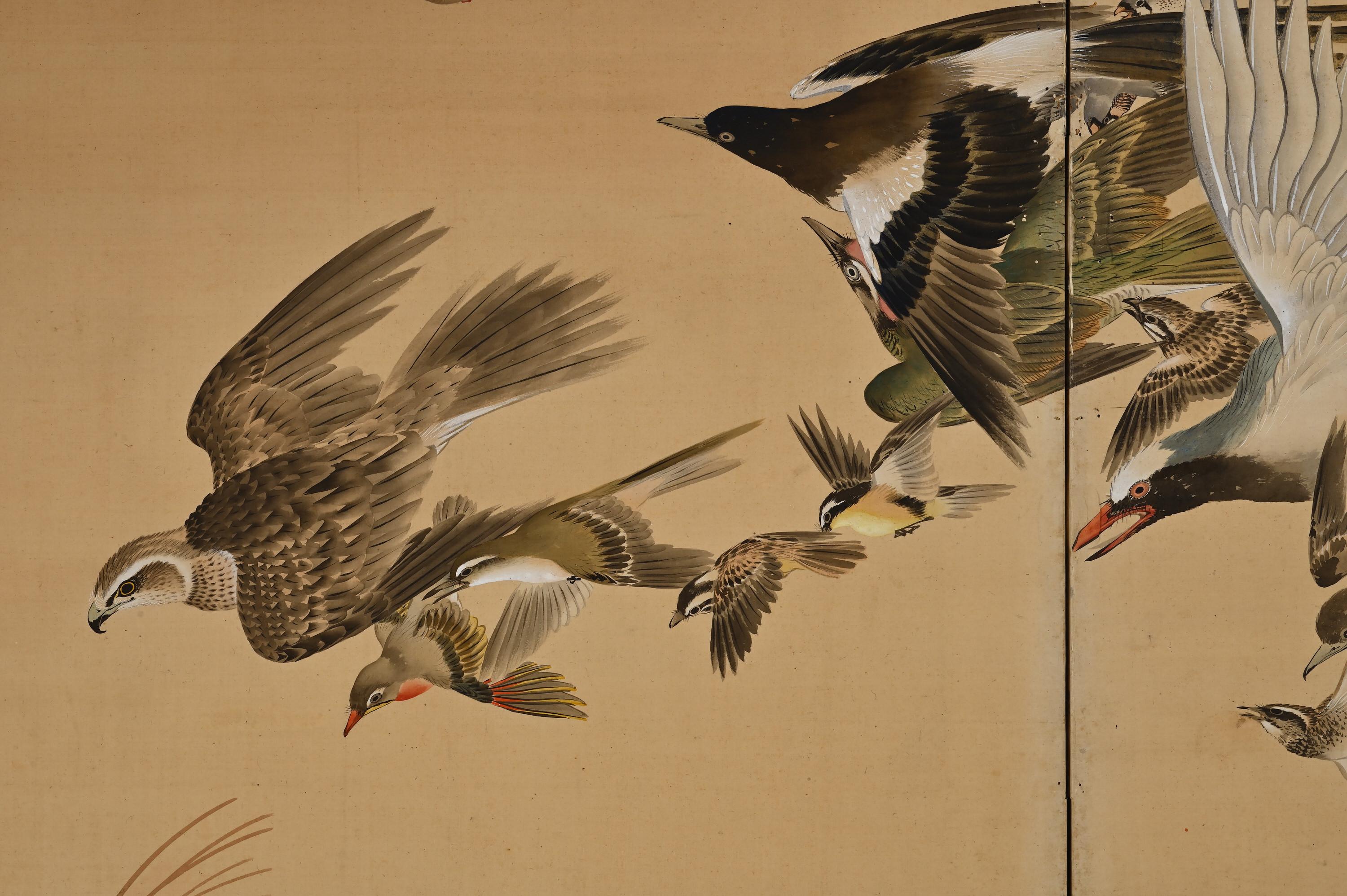 Meiji Period Japanese Screen Pair, One Hundred Birds by Hasegawa Gyokujun For Sale 3