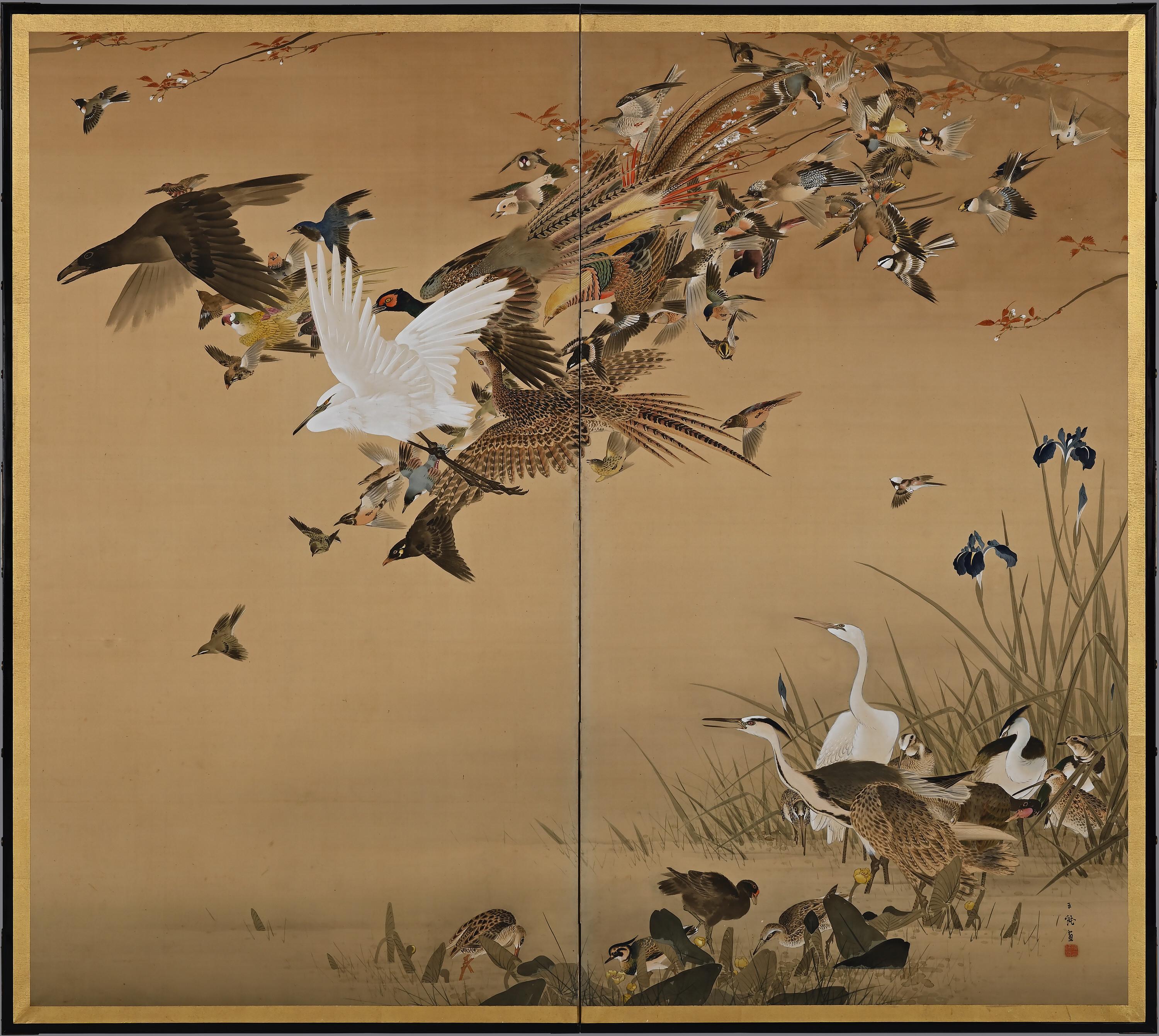 One hundred birds

Hasegawa Gyokujun (1863-1921)

Meiji period, circa 1900.

Ink, color and gofun on silk.

Dimensions of each screen:
H. 170 cm x W. 190 cm (67’’ x 75”)

Despite the title, well over 100 birds are represented in this pair