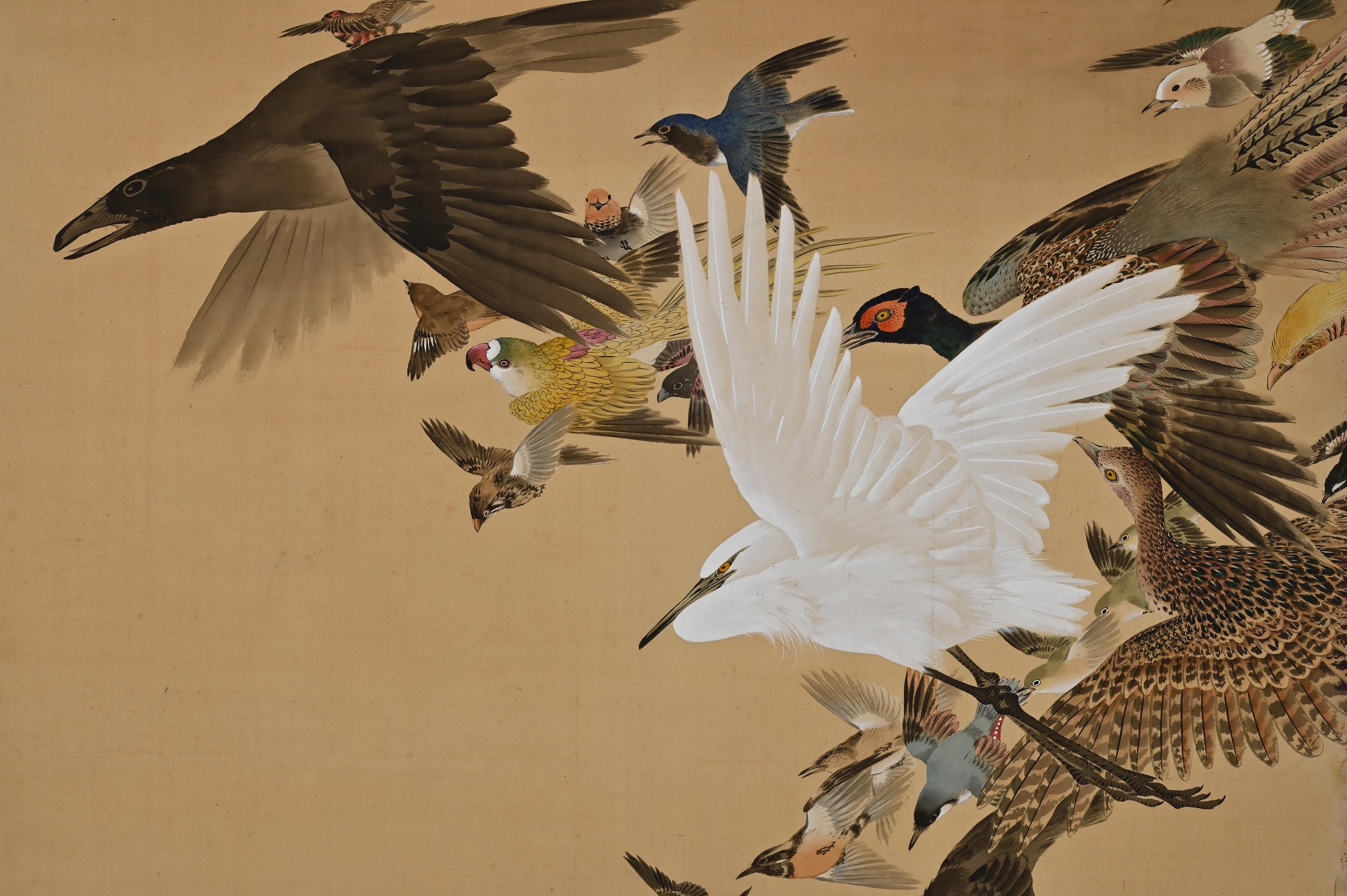 Meiji Period Japanese Screen Pair, One Hundred Birds by Hasegawa Gyokujun In Good Condition For Sale In Kyoto, JP